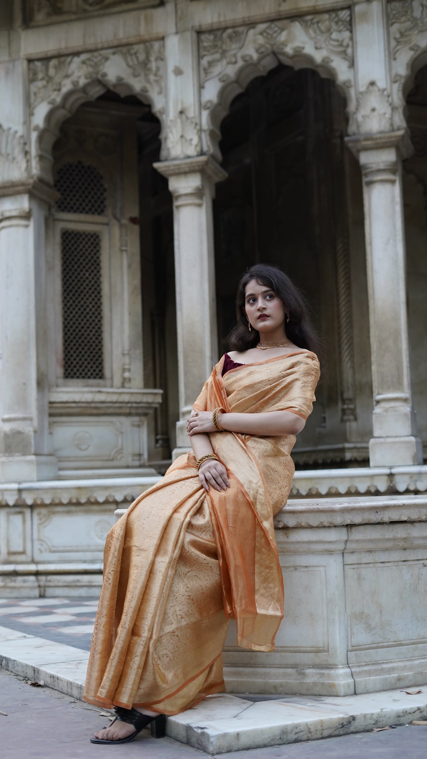 Pure Banarasi Handloom Ambose Tissue Brocade Saree