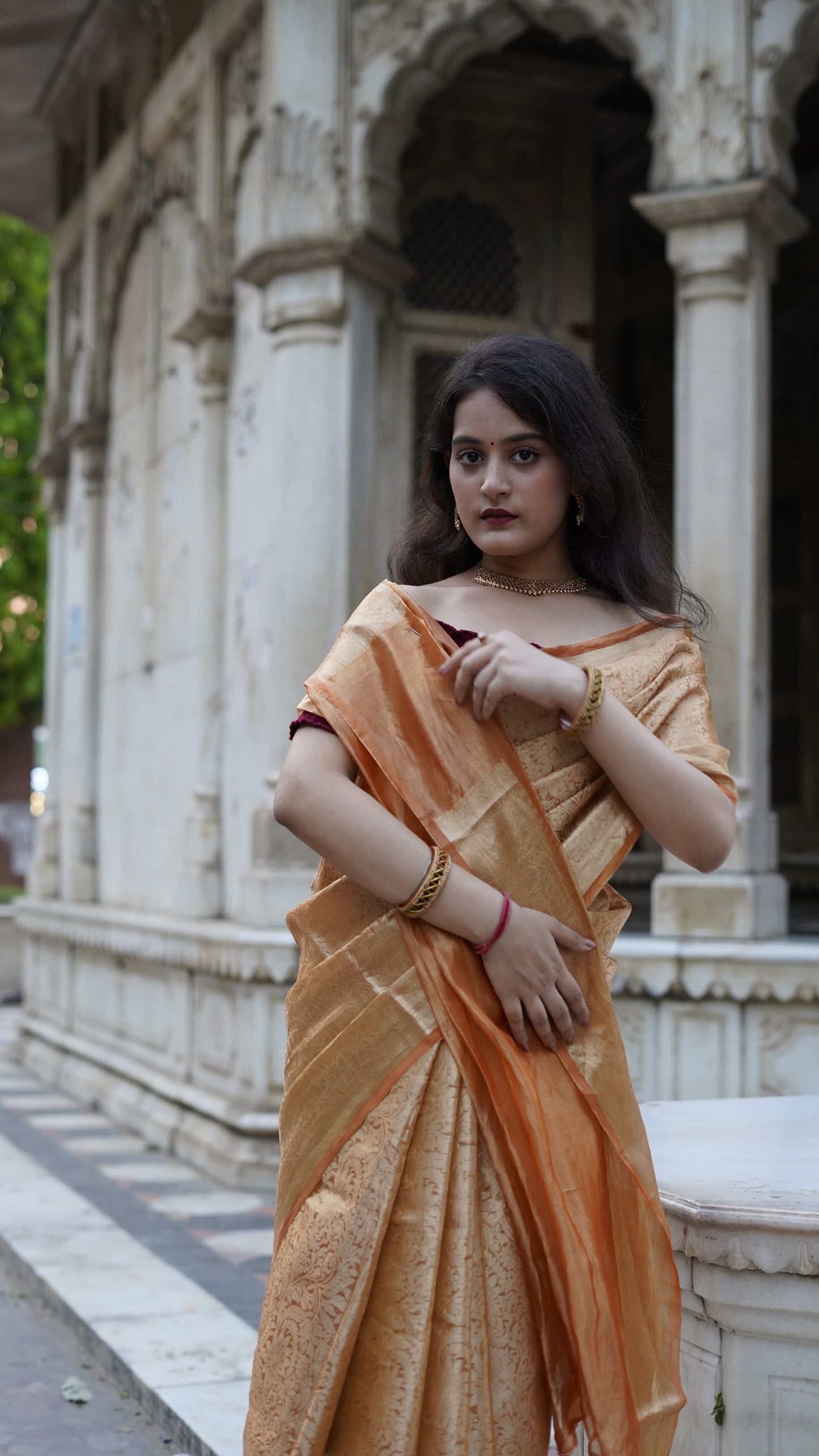 Pure Banarasi Handloom Ambose Tissue Brocade Saree