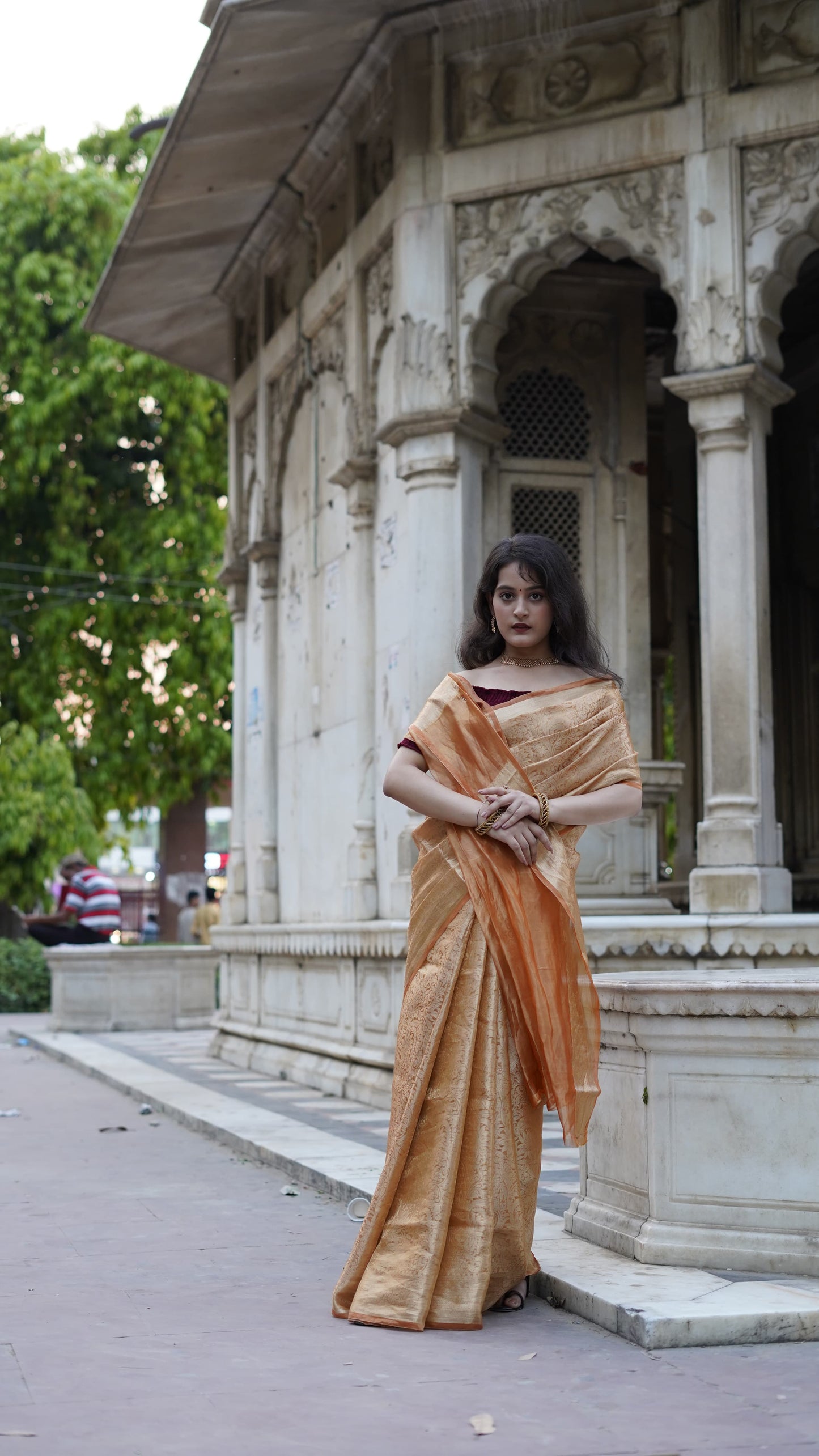 Pure Banarasi Handloom Ambose Tissue Brocade Saree