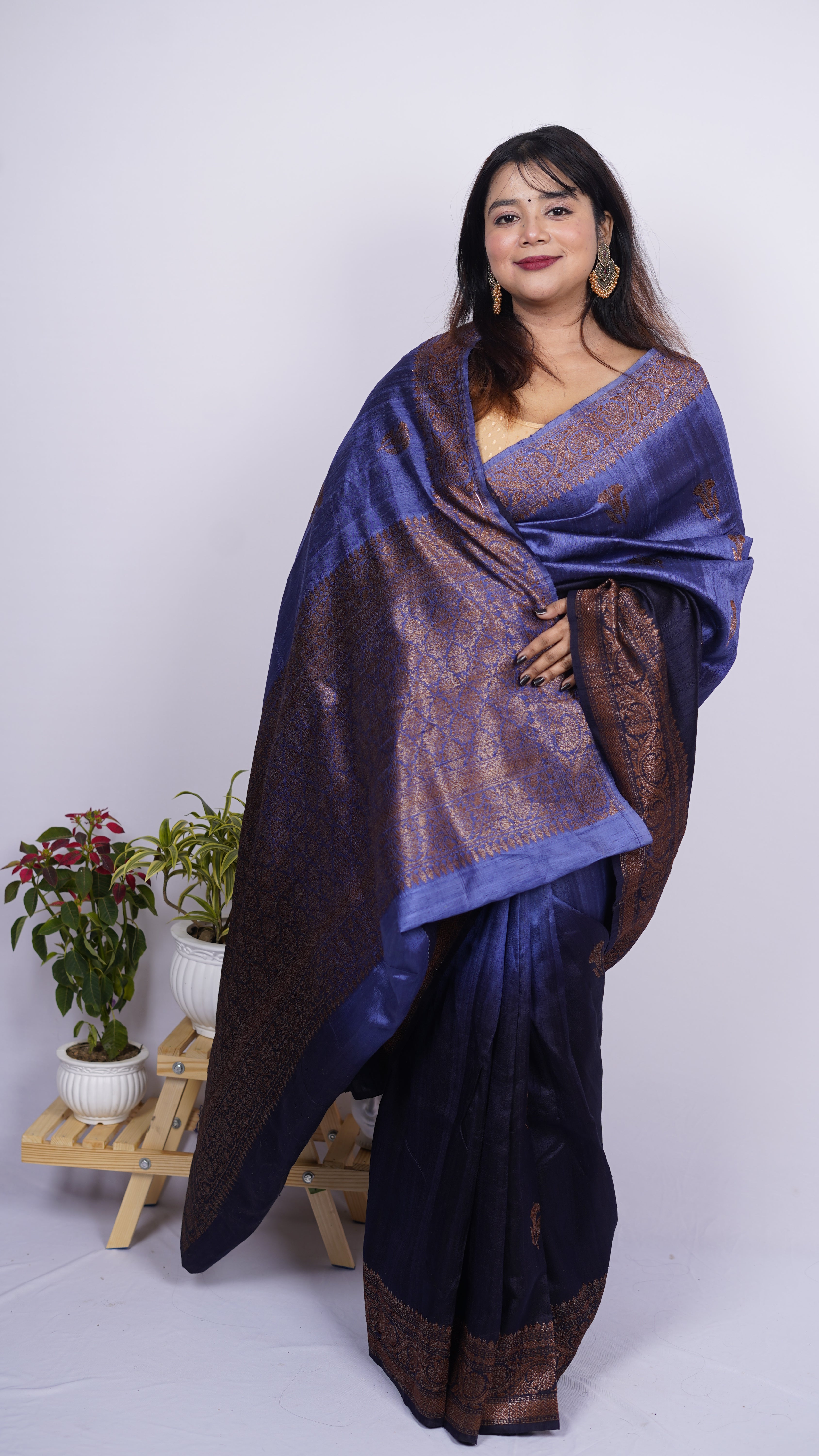 Pure Banarasi Handloom Raw Silk Saree