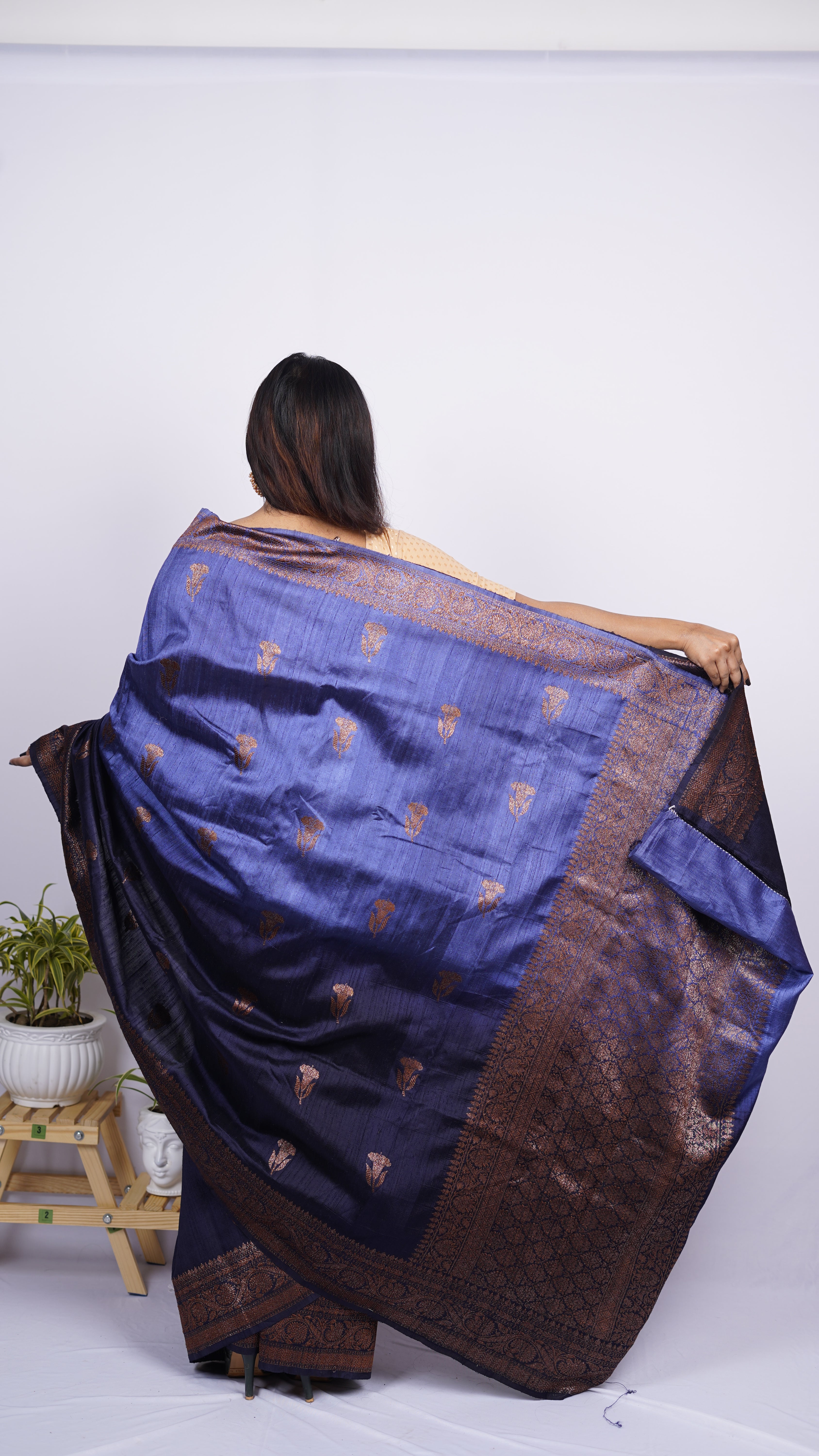 Pure Banarasi Handloom Raw Silk Saree
