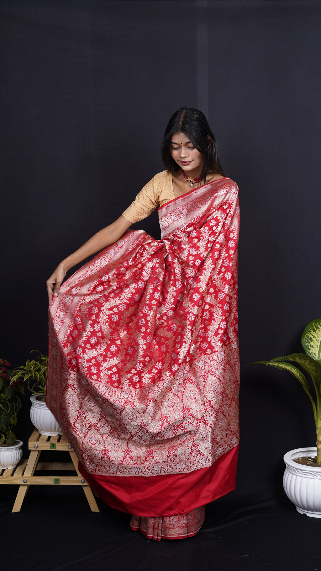 Pure Banarasi Handloom Katan Rupa Sona Patola Saree