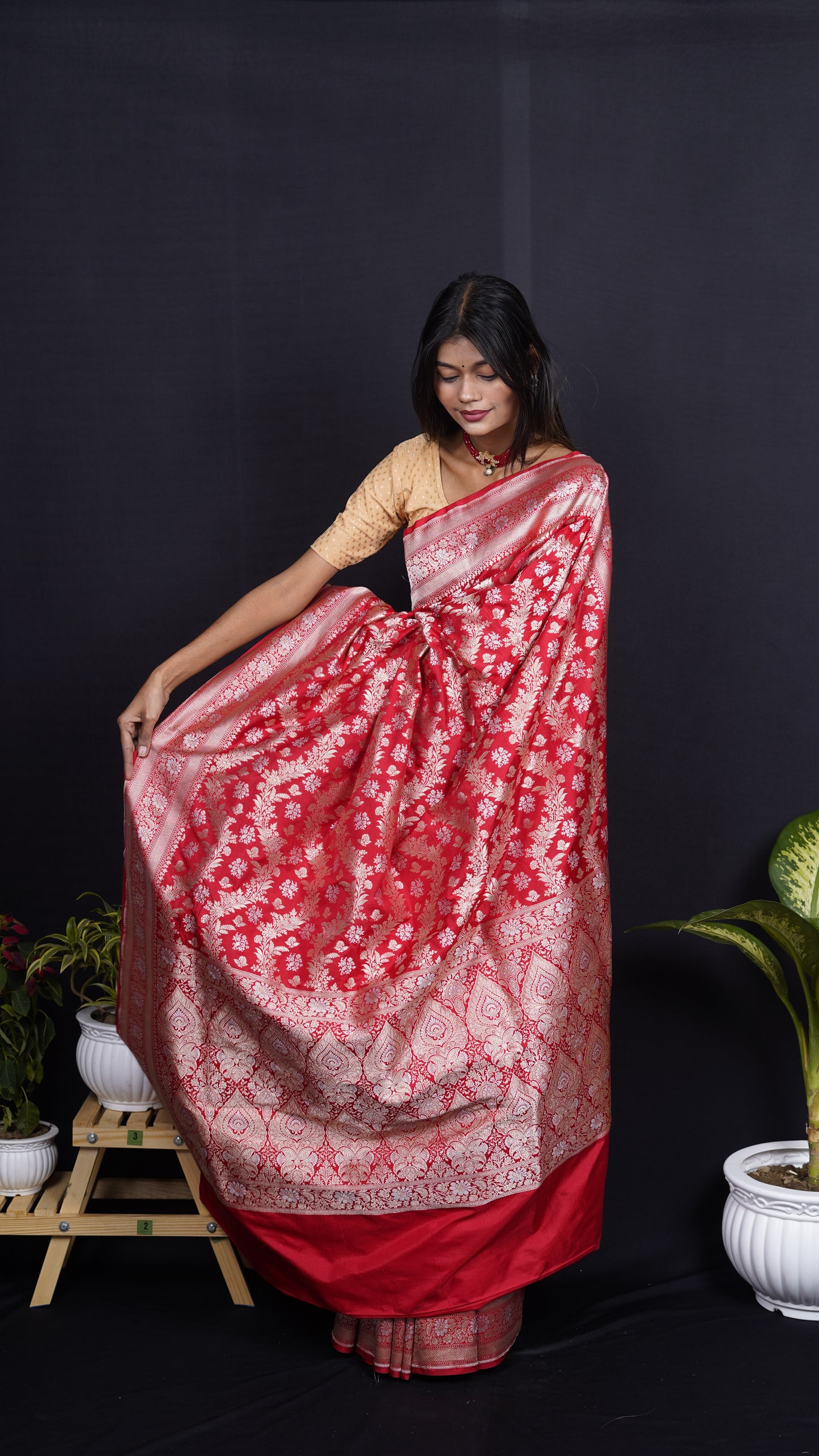 Pure Banarasi Handloom Katan Rupa Sona Patola Saree