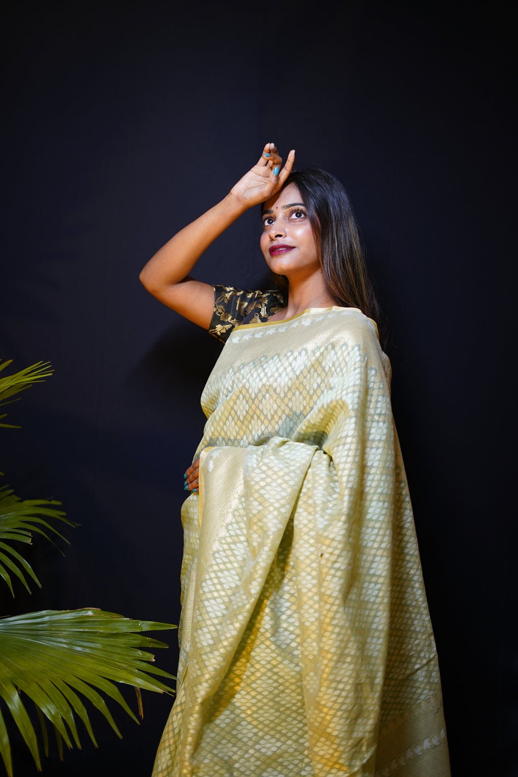 Pure Banarasi Handloom Pitambari Cotton Saree