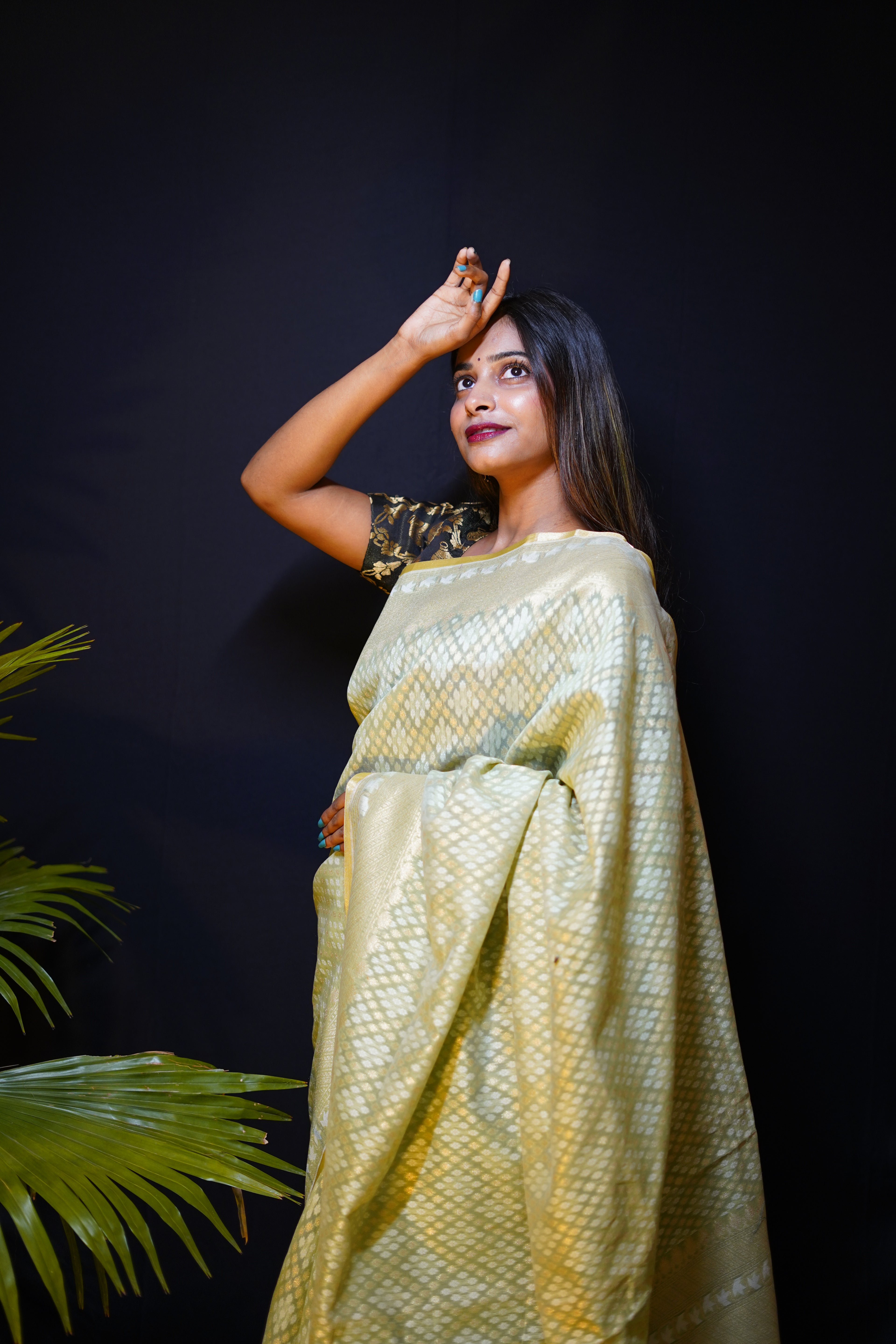 Pure Banarasi Handloom Pitambari Cotton Saree