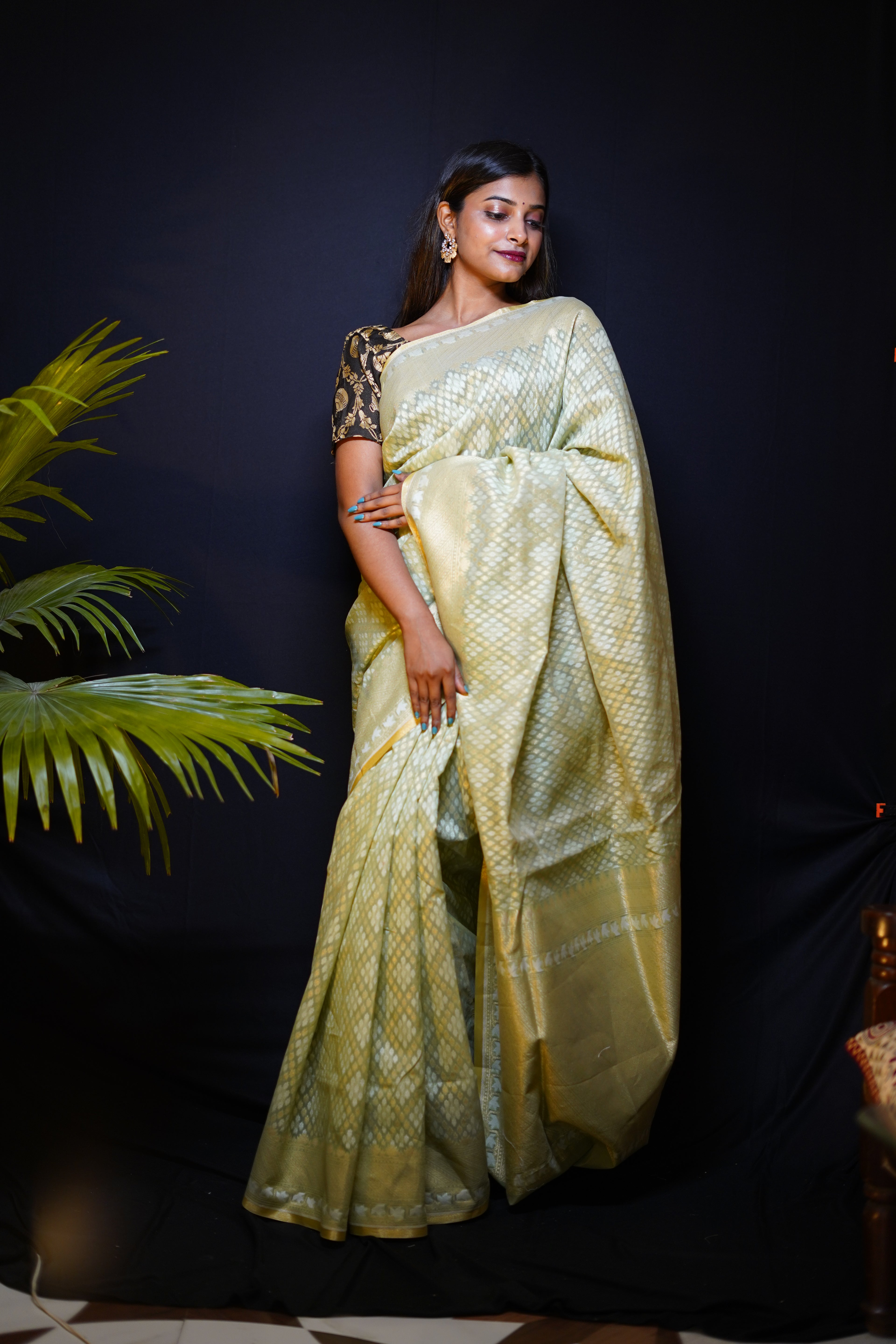 Pure Banarasi Handloom Pitambari Cotton Saree