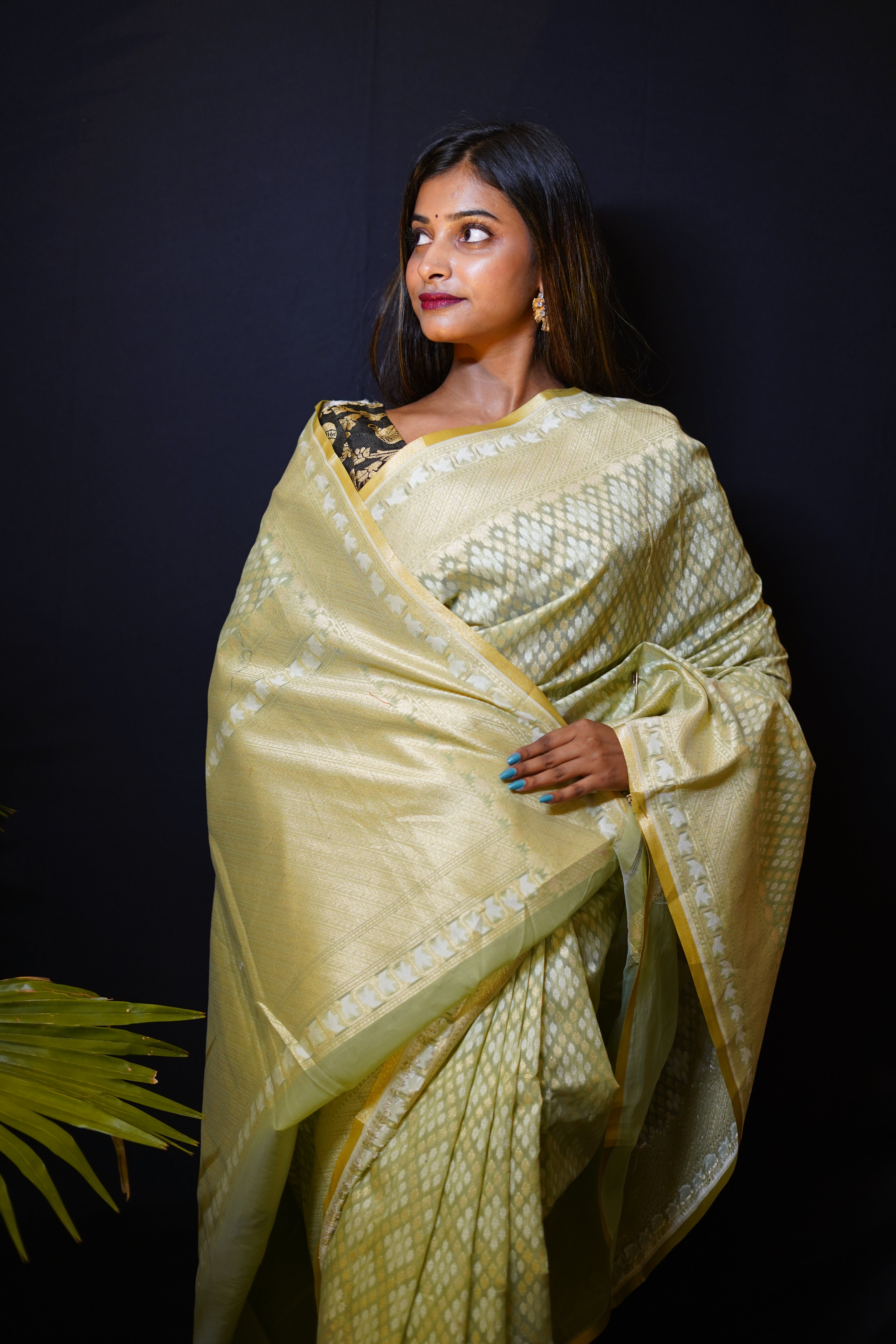 Pure Banarasi Handloom Pitambari Cotton Saree
