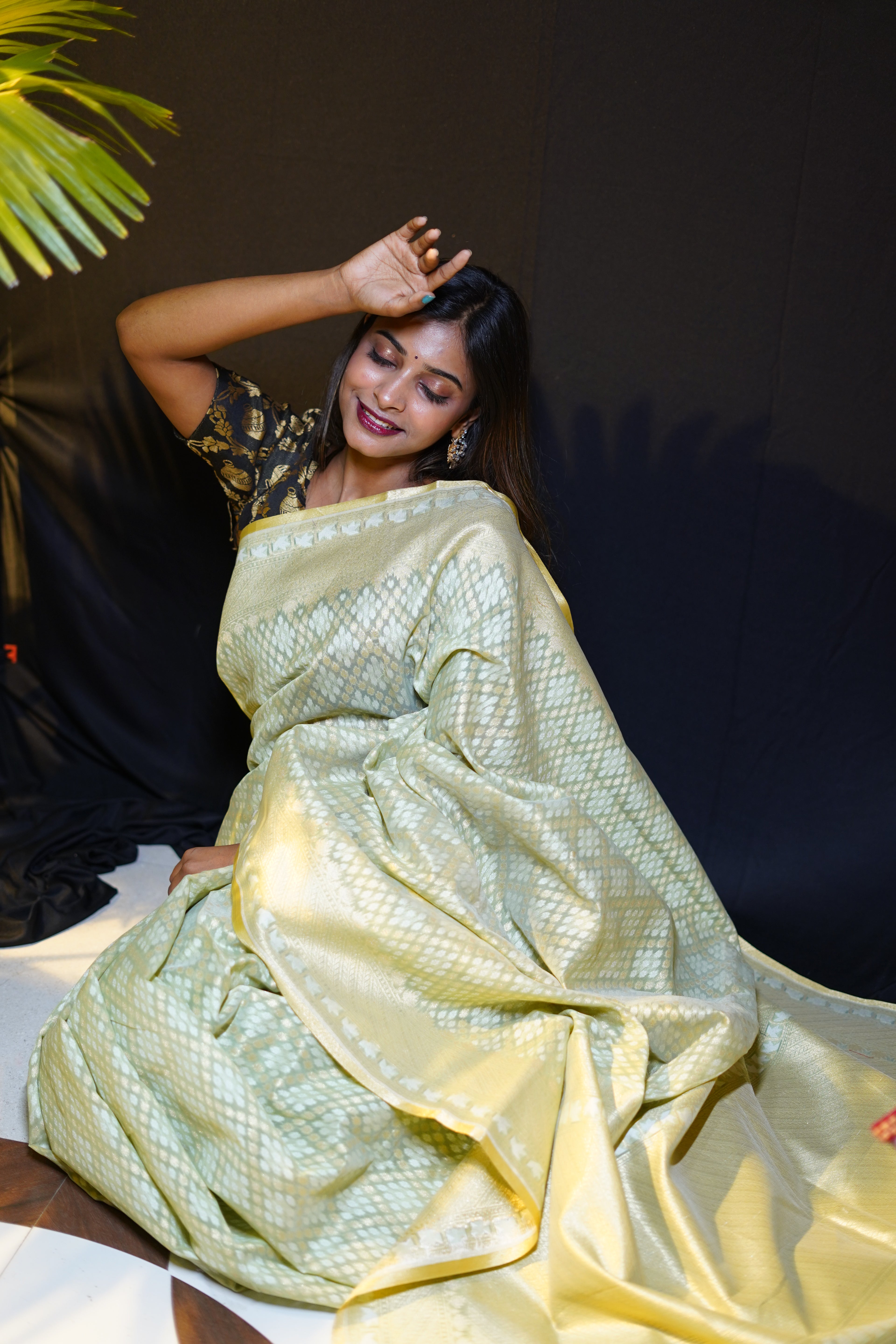 Pure Banarasi Handloom Pitambari Cotton Saree