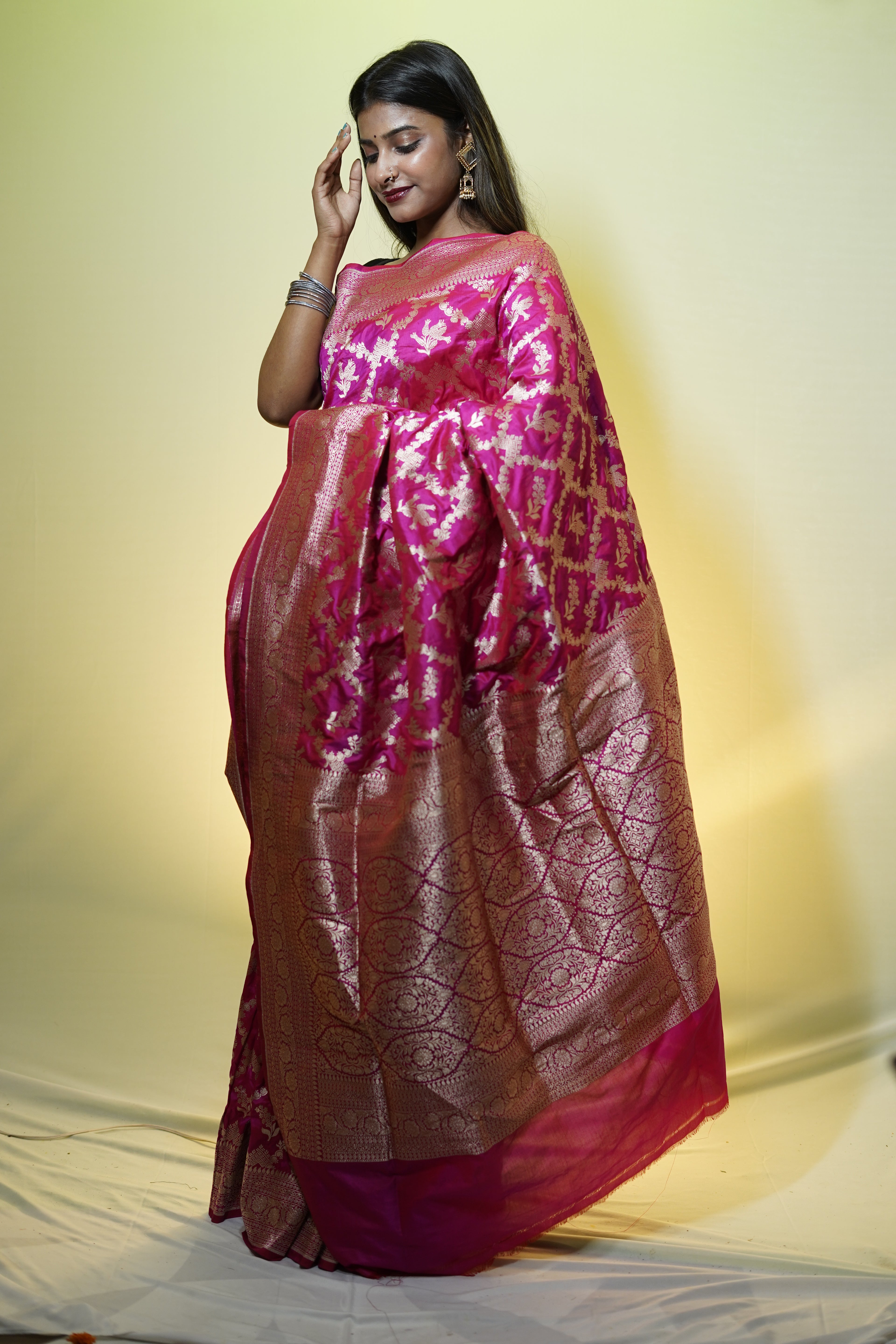 Pure Banarasi Handloom Katan Patola Saree