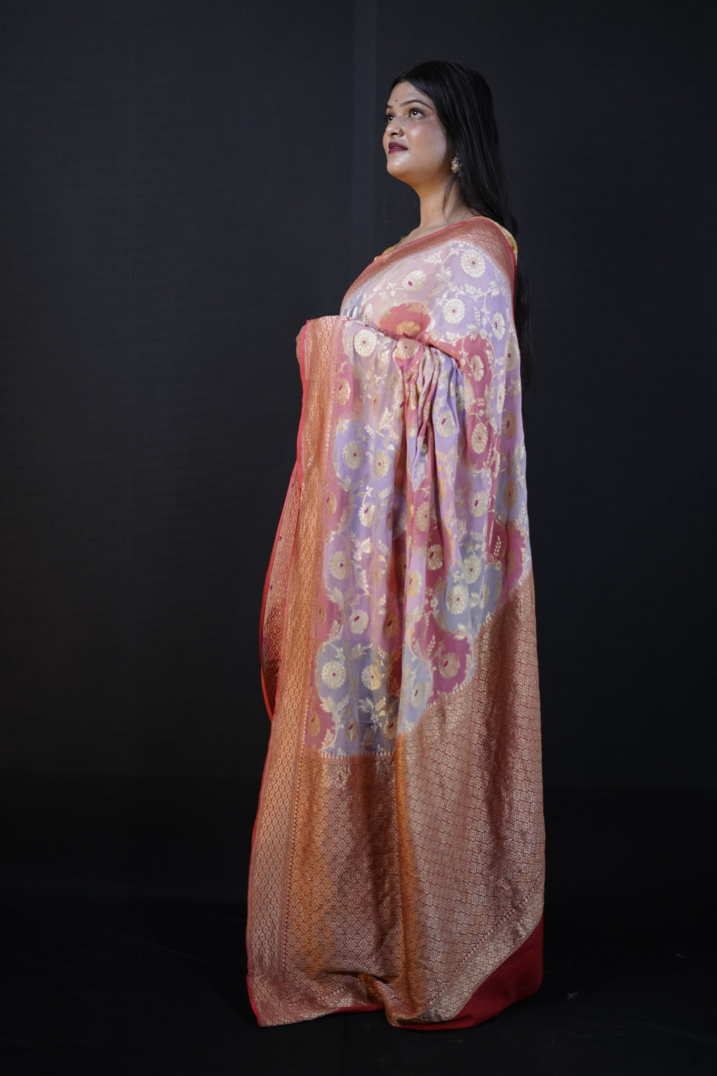 Pure Banarasi Handloom Khaddi Georgette Mina Multi Saree