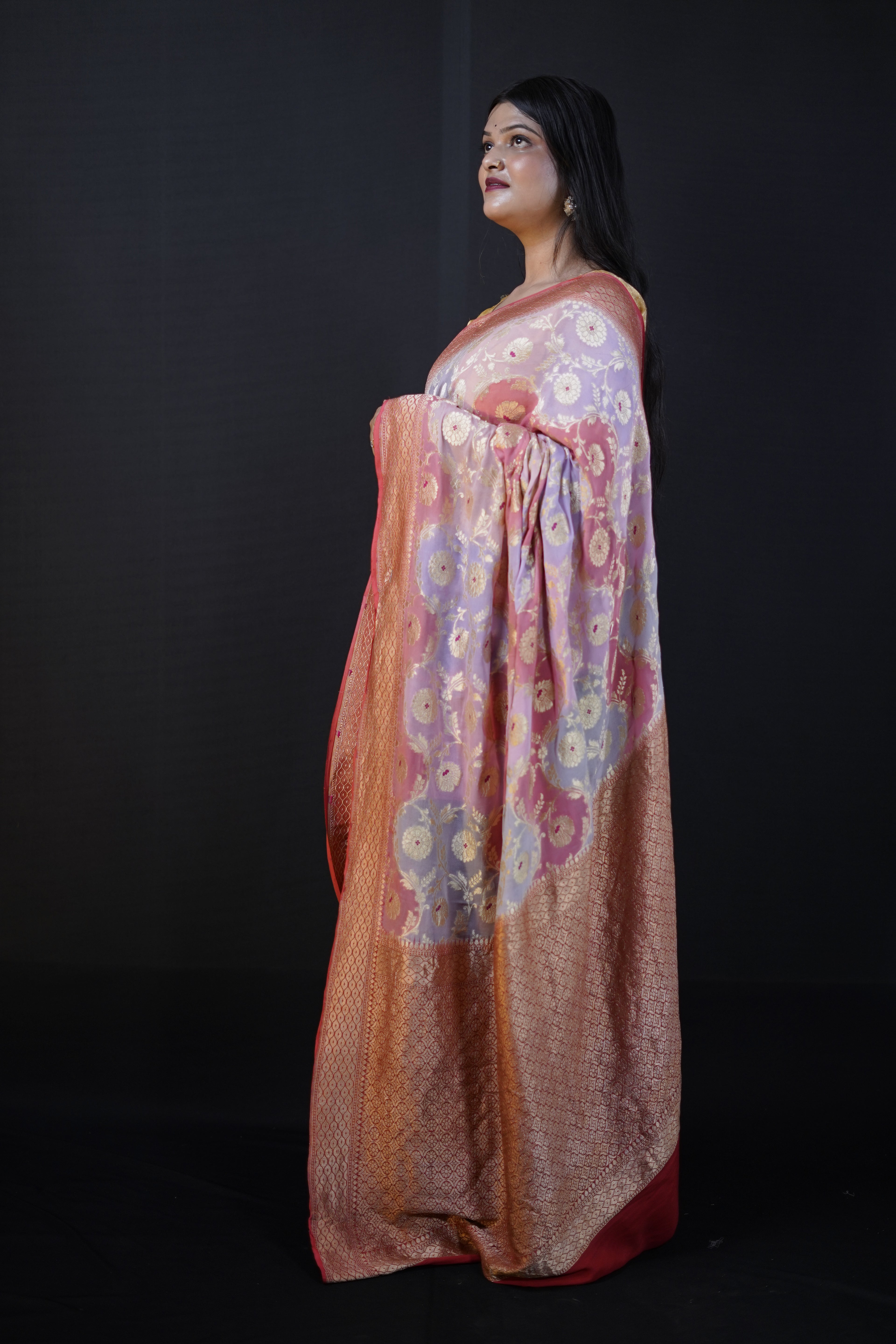 Pure Banarasi Handloom Khaddi Georgette Mina Multi Saree
