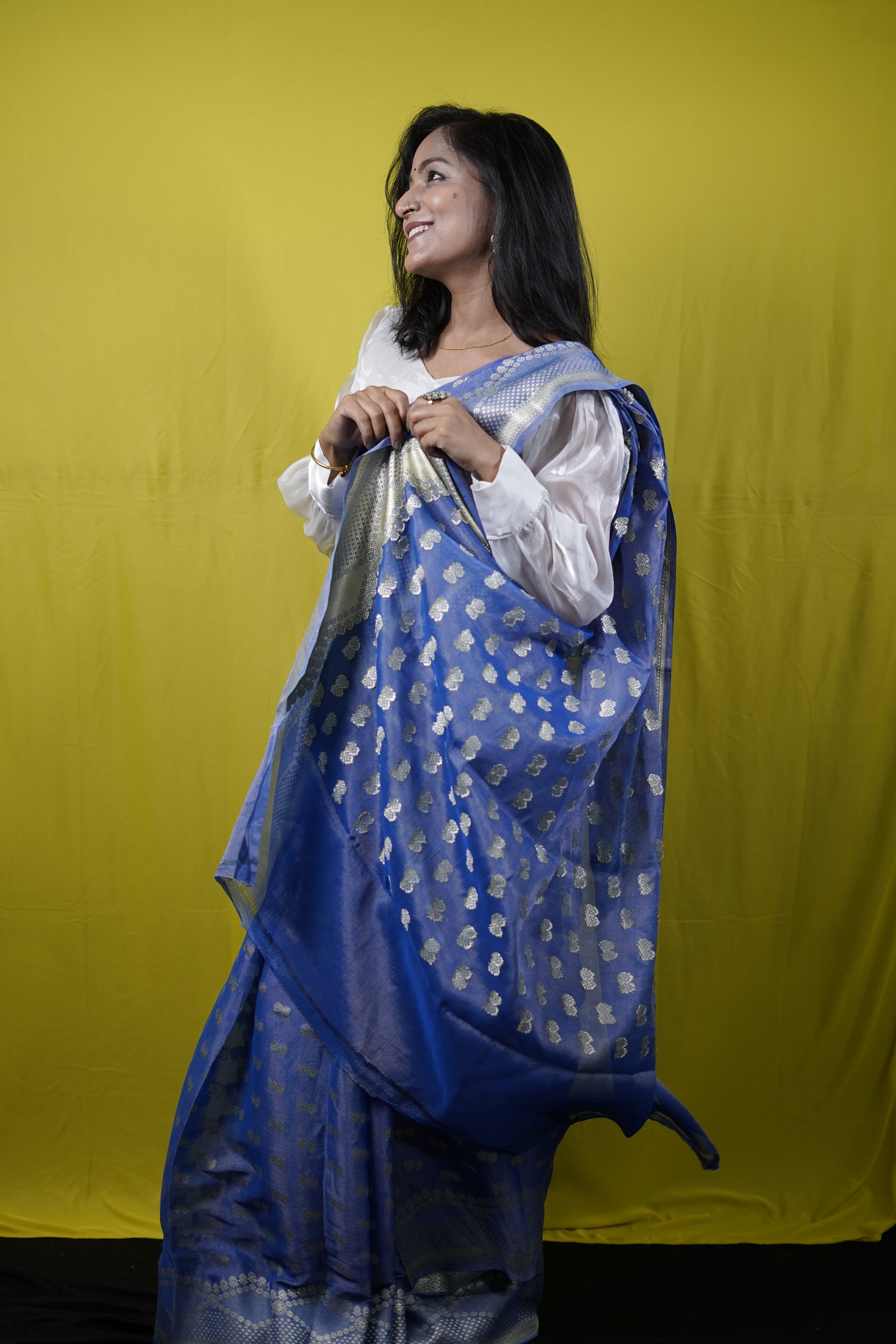 Pure Banarasi Handloom Tissue Georgette Saree