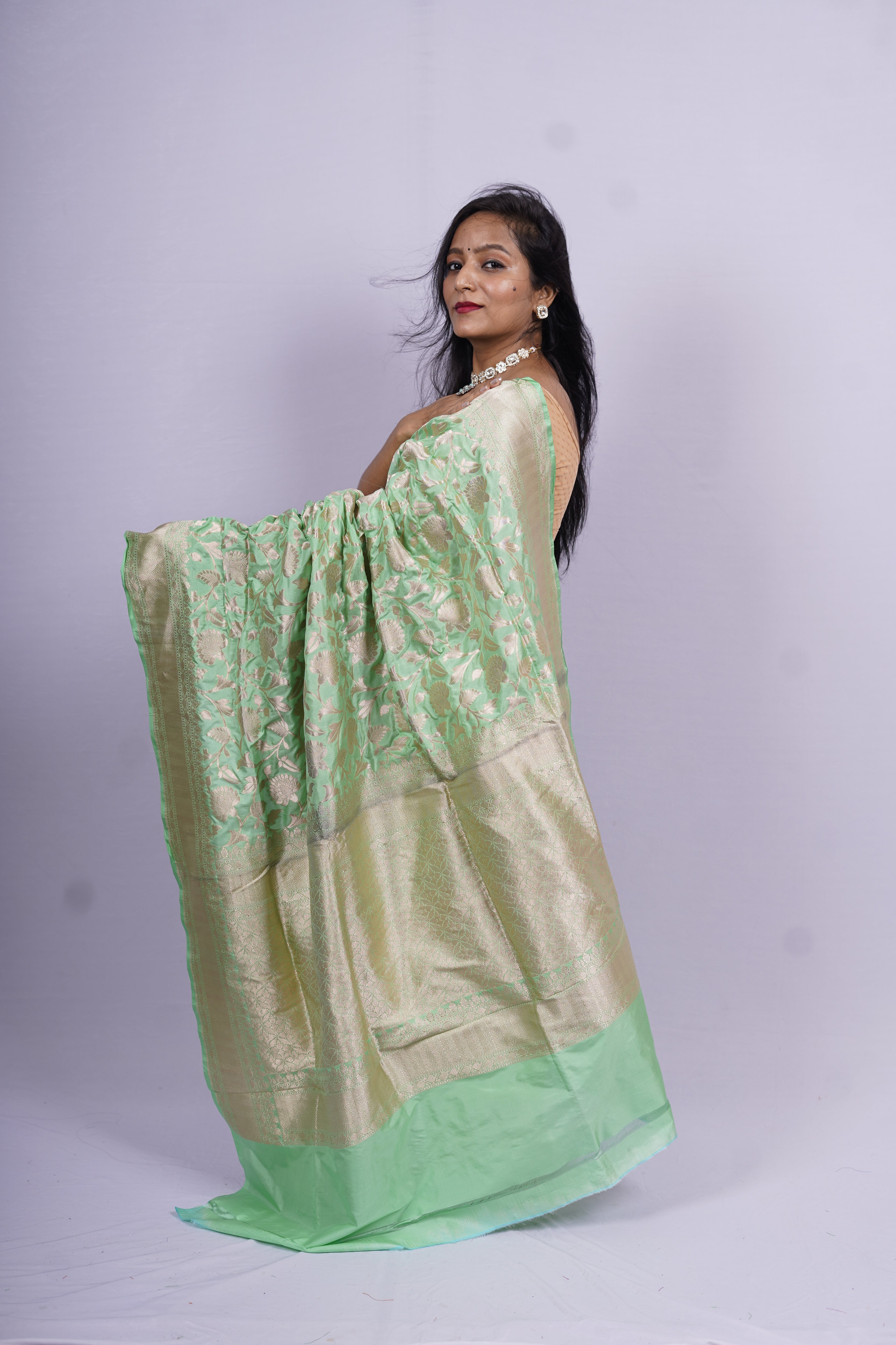 Pure Banarasi Handloom Katan Patola Saree