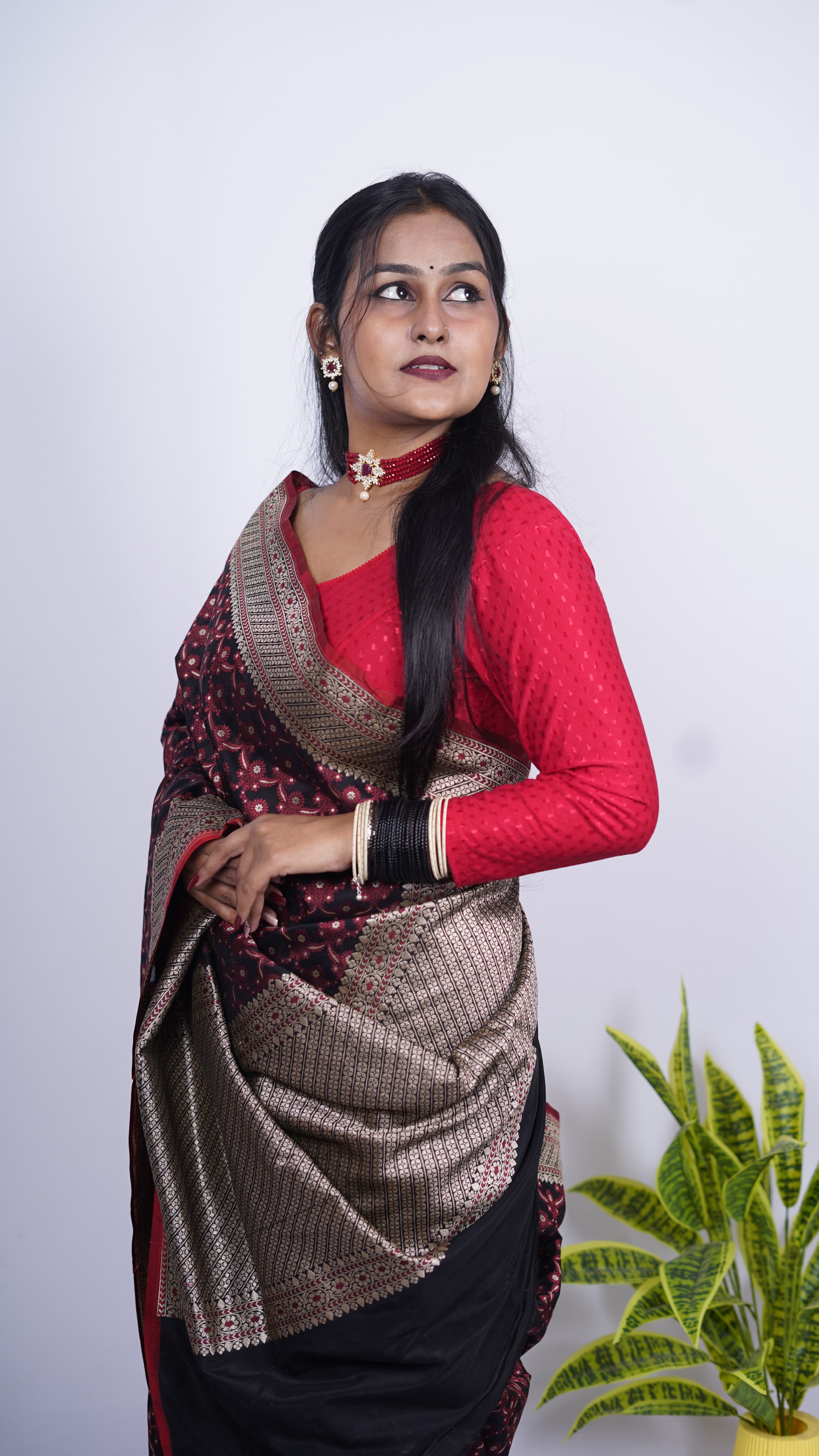 Pure Banarasi Handloom Katan Georgette Saree