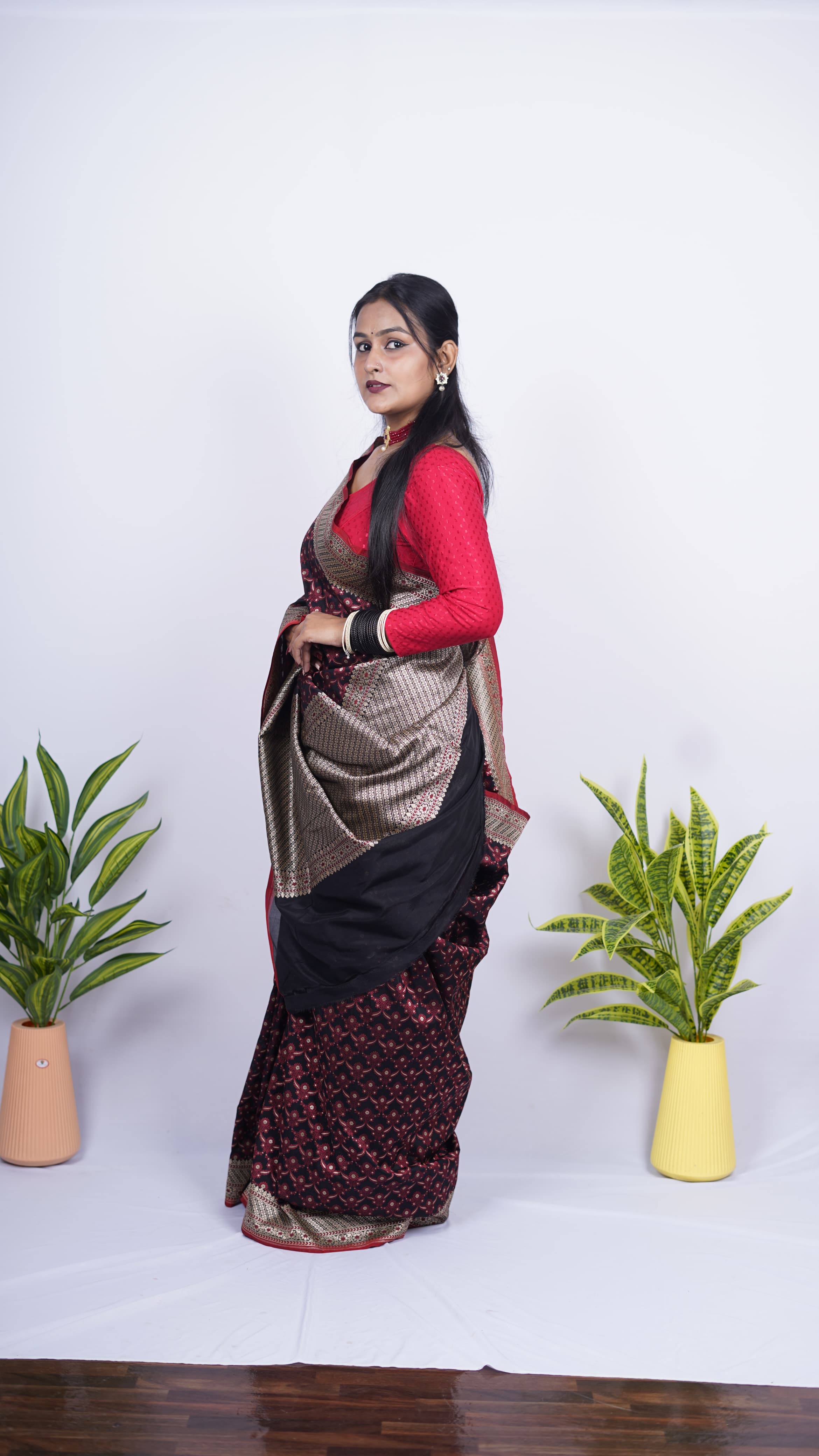 Pure Banarasi Handloom Katan Georgette Saree