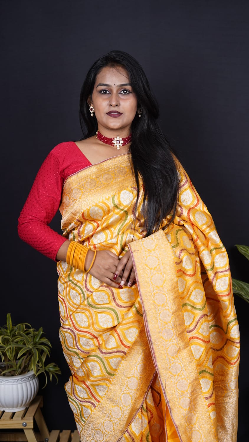 Pure Banarasi Handloom Katan Mehraab Saree