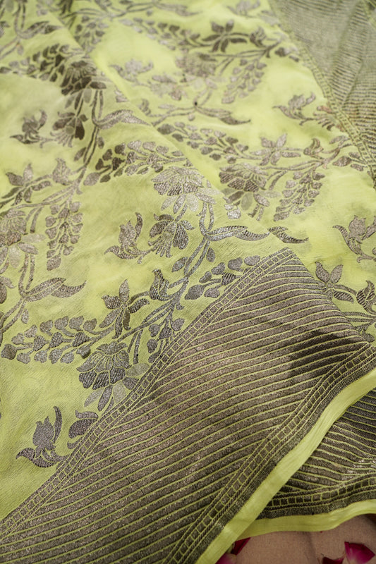 Pure Banarasi Handloom Khaddi Georgette Black Zari Jaal Saree