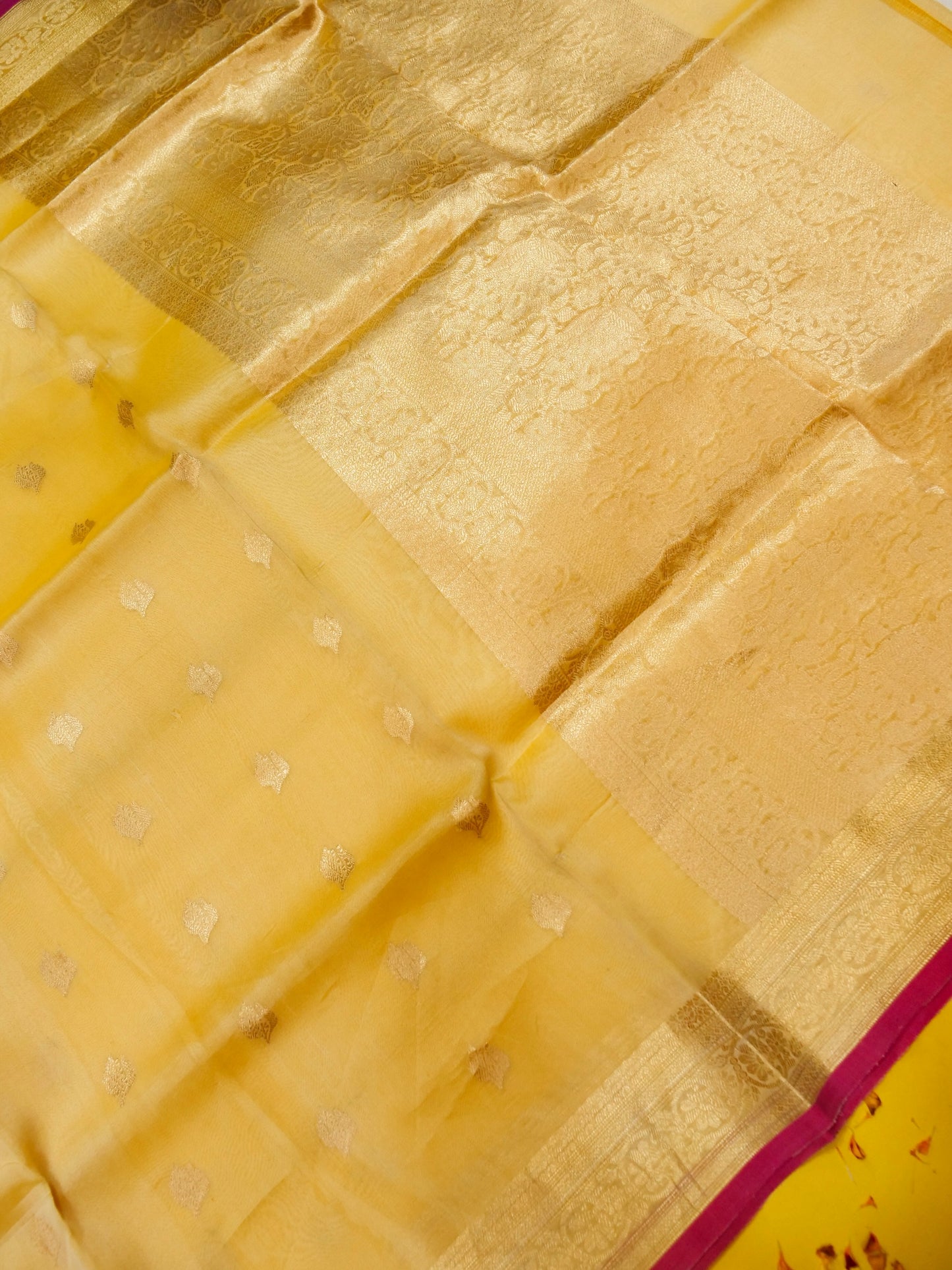 Pure Banarasi Handloom Kora Kadhwa Saree