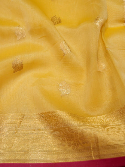 Pure Banarasi Handloom Kora Kadhwa Saree