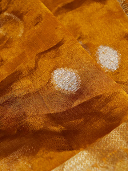Pure Banarasi Handloom Tissue Cutwork Saree