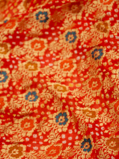 Pure Banarasi Handloom Bandhani Multi Rai Saree